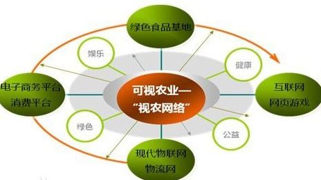 VIE架構與大數據服務 跨境融資與數據驅動的雙軌演進